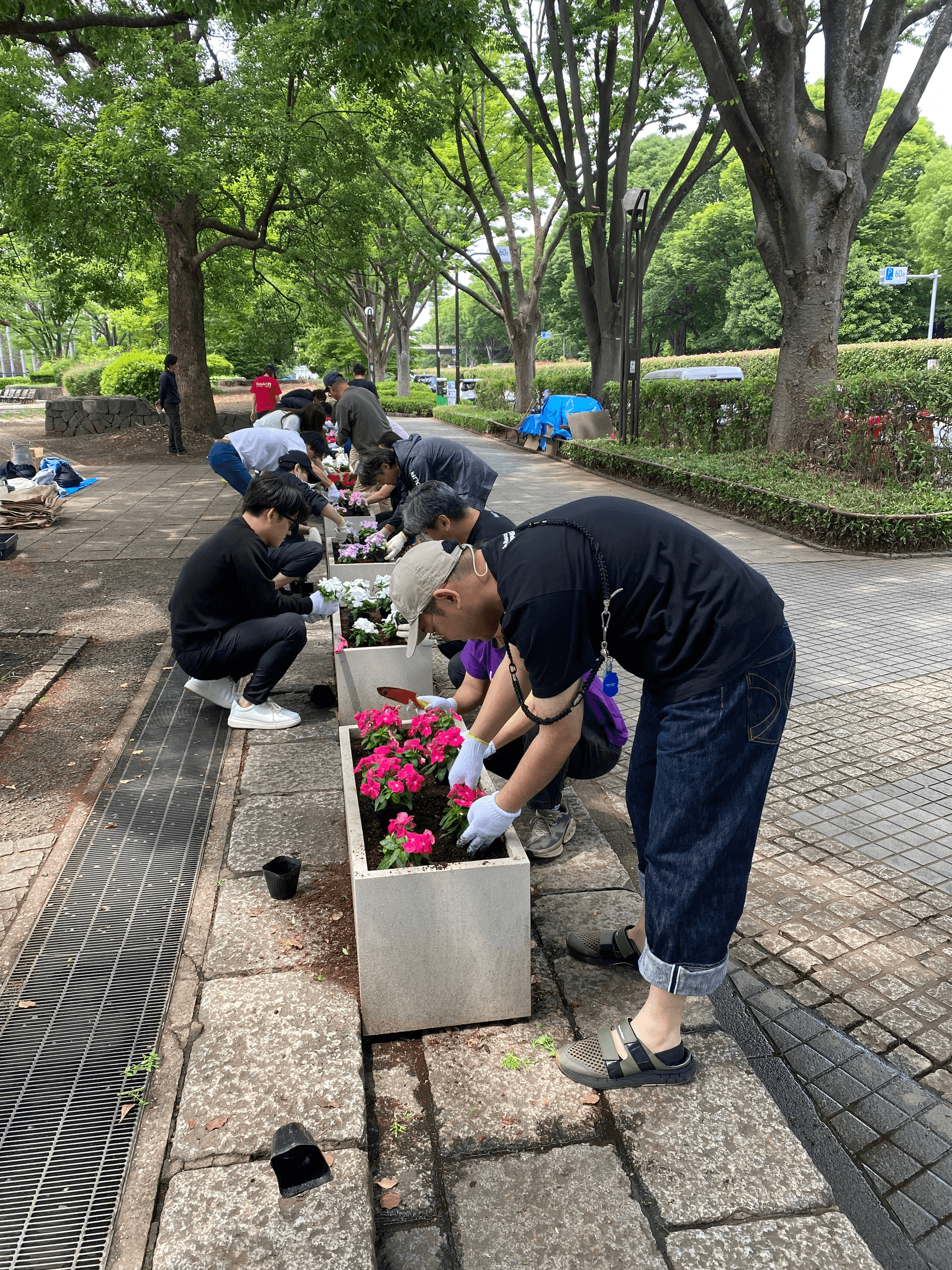 a group of people are planting flowers on a sidewalk