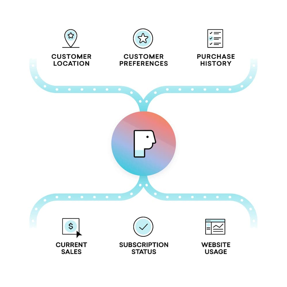 a diagram of a customer 's purchase history , customer preferences , current sales , subscription status , and website usage .