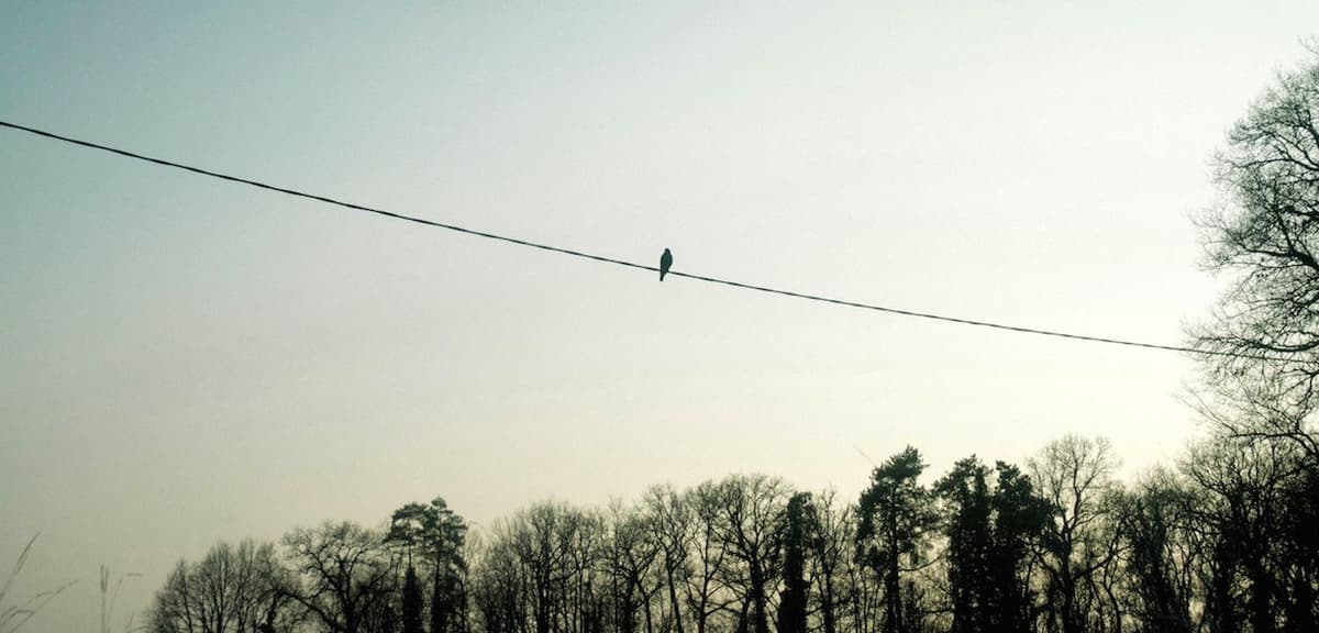 Personalization for Beginners: Hi, {{${first_name}}}