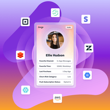 a customer profile with different data related icons around it. martech stack at braze, braze marketing automation, data automation tech, data automation platform, data automation solutions