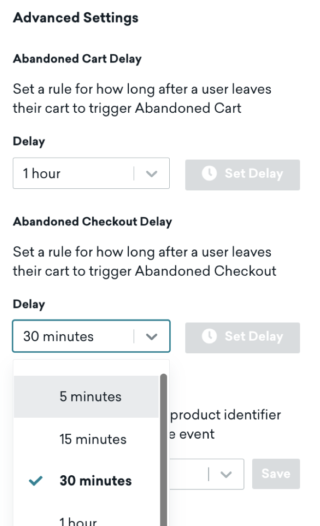 Option in Advanced Settings to set abandoned cart and checkout delay.
