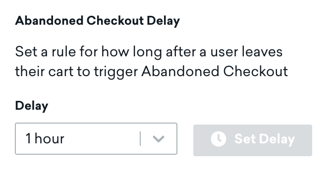Option in Advanced Settings to set a rule for how long after a user leaves their cart to trigger abandoned checkout.