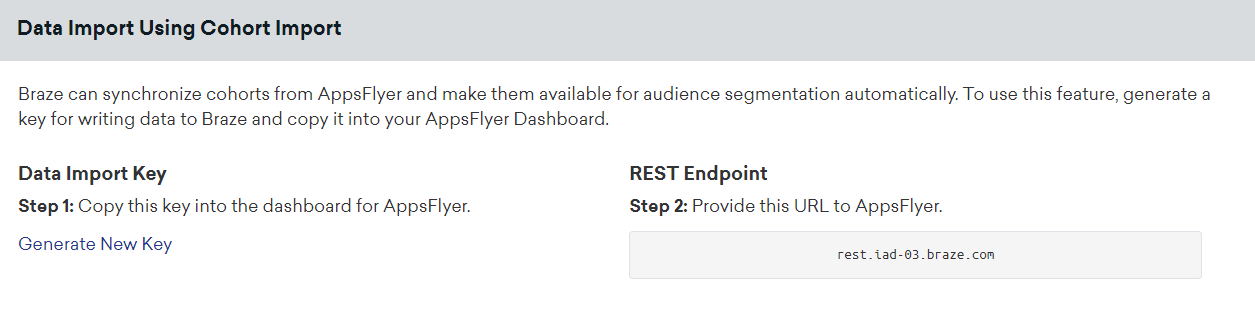 The "Data Import Using Cohort Import" box on the AppsFlyer technology page. In this box, you are shown the data import key and the REST endpoint.