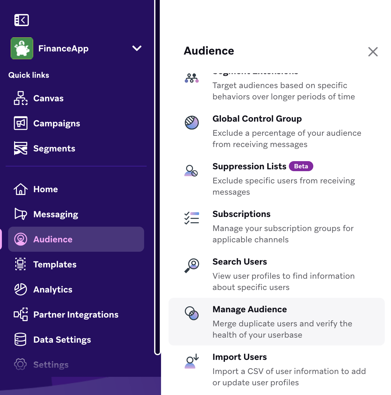 The "Manage Audience" tile highlighted in the navigation menu.