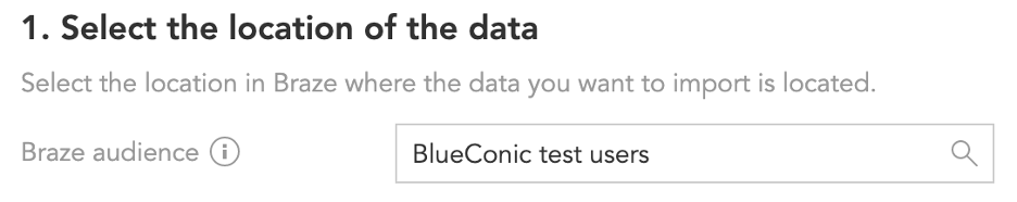 The BlueConic Braze audience set as "BlueConic Test Users".