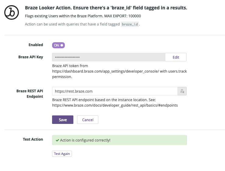 The Looker Braze configuration page. Here you can find fields for Braze API key and Braze REST API endpoint.