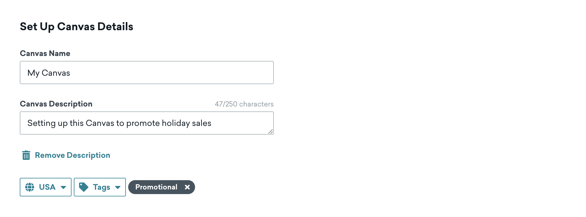 The Canvas details page, with fields for the Canvas name, description, location, and tags.