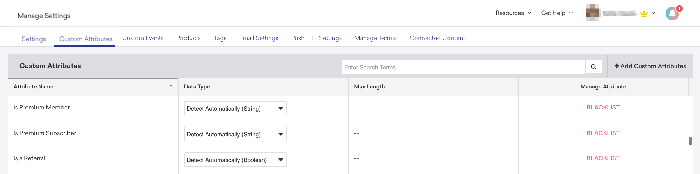 Custom Attributes tab to edit attribute or data type