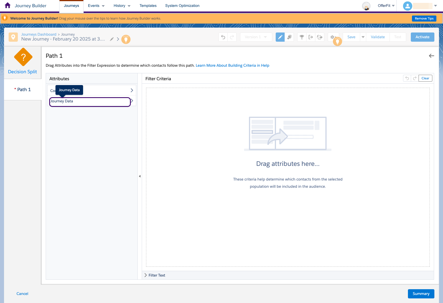 The Journey Data section in Path 1 of the Decision Split.
