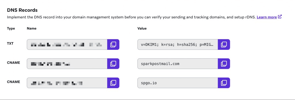 DNS Records section showing TXT and CNAME records to copy into your domain management system.