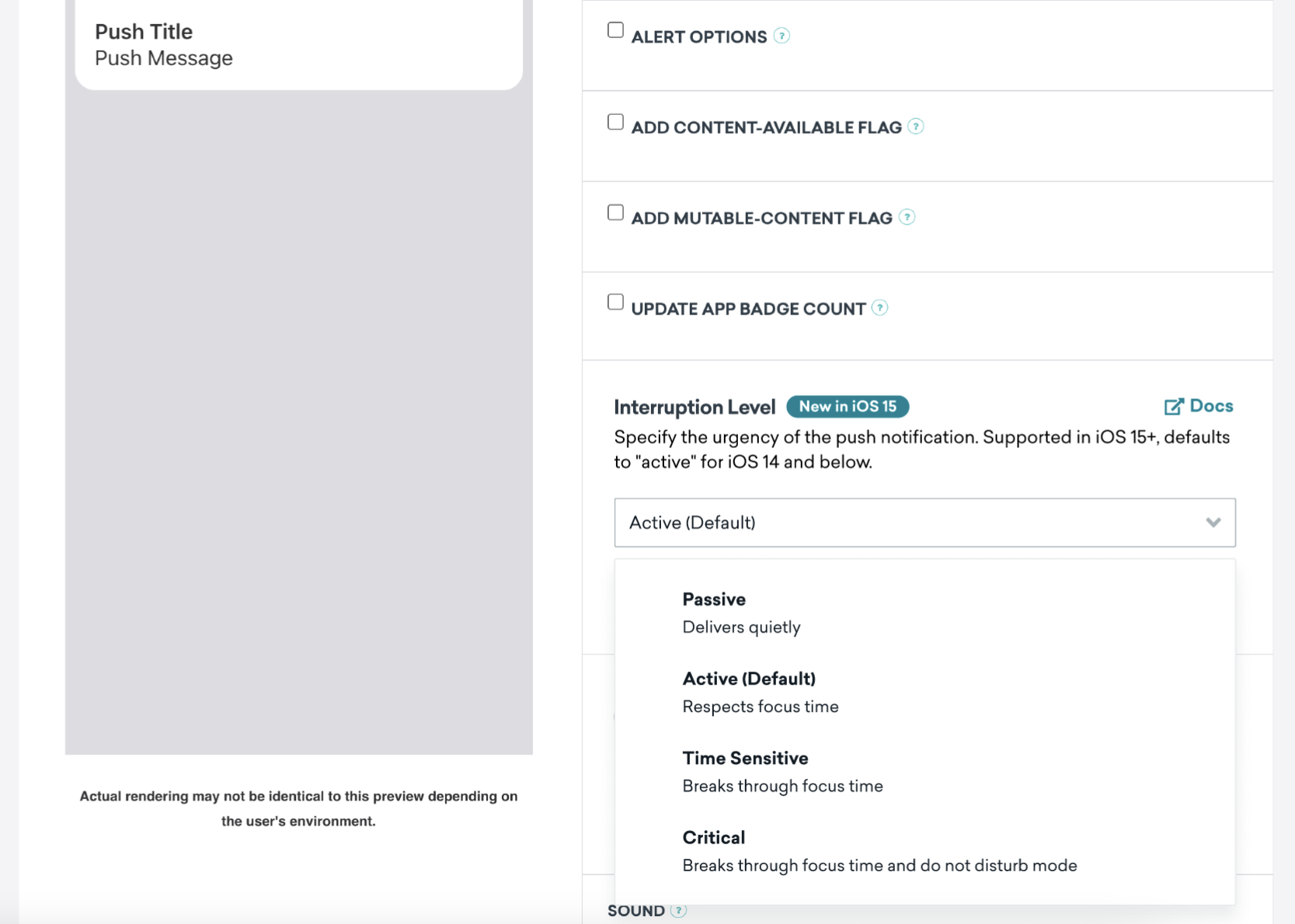 Interruption Level set to Active (Default) and expanded to show all available interruption levels: Passive, Active (Default), Time Sensitive, and Critical.