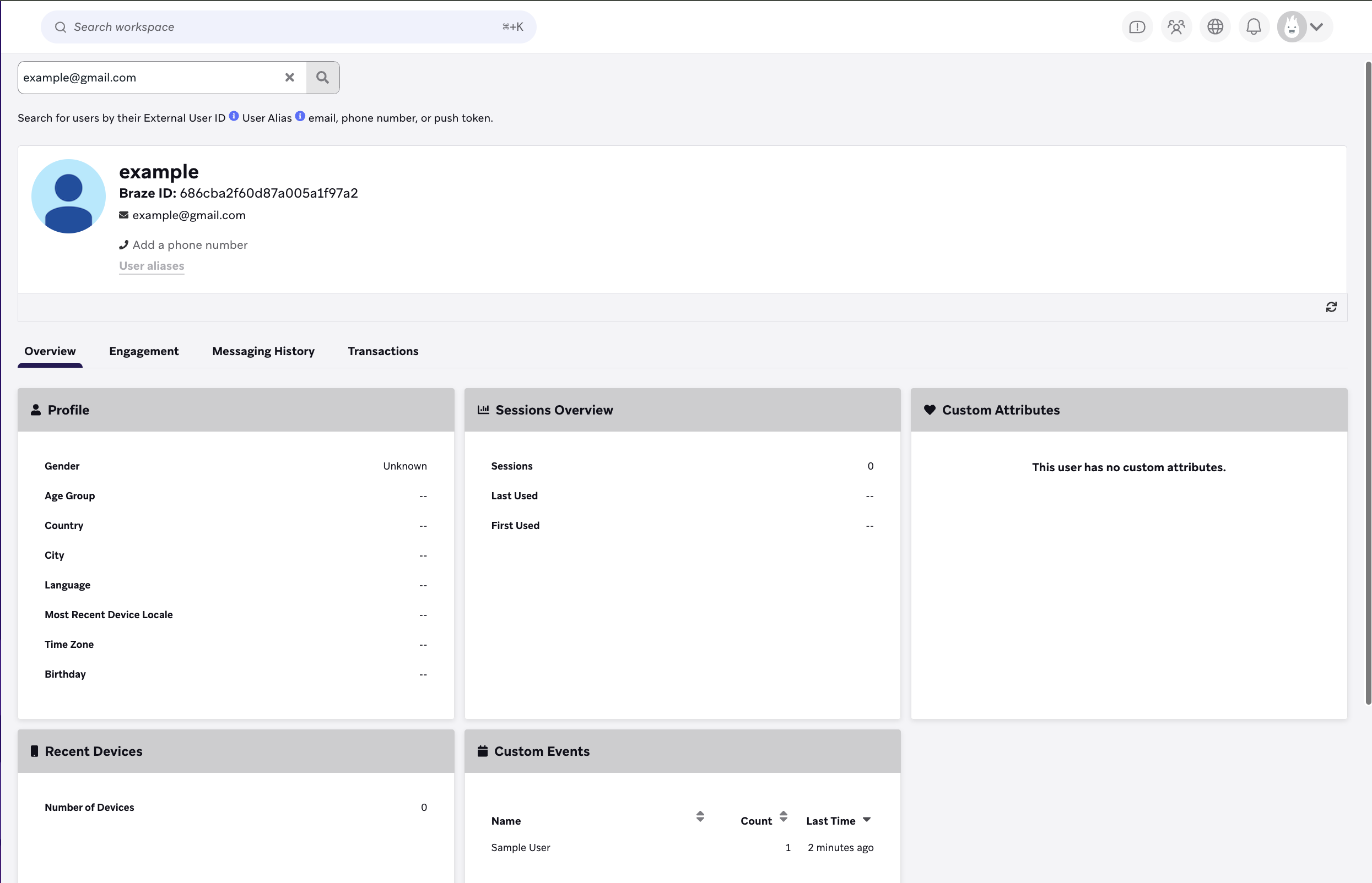 Viewing a user's profile and activity overview in Braze