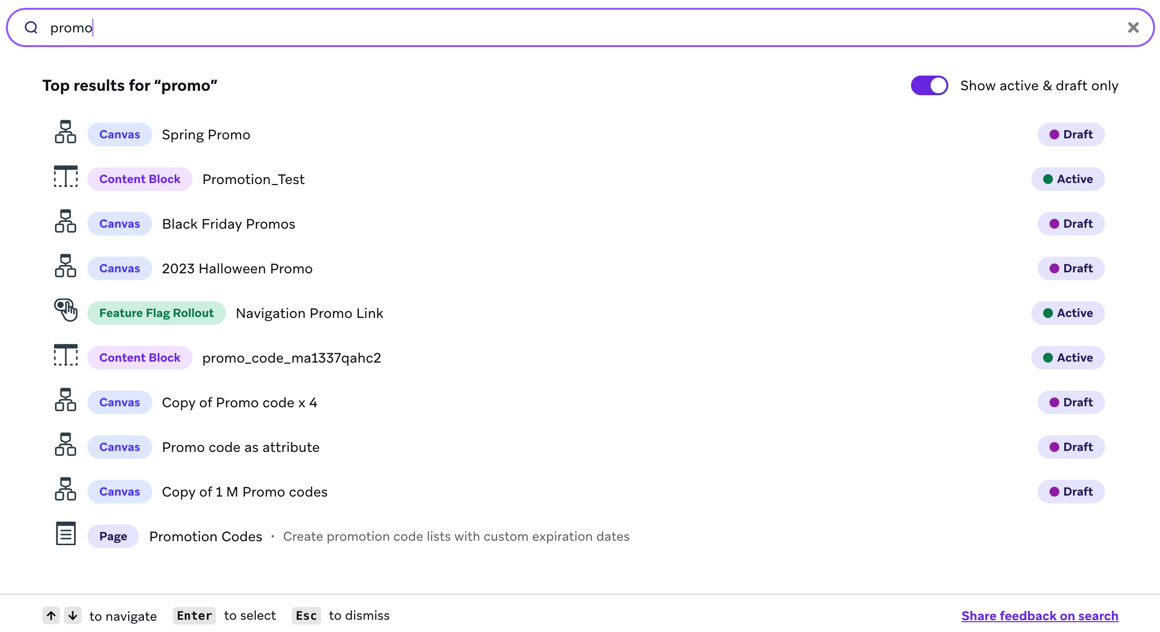 Search results for the keyword "promo", showing campaigns and items that include the term promo, including the page Promotion Codes.