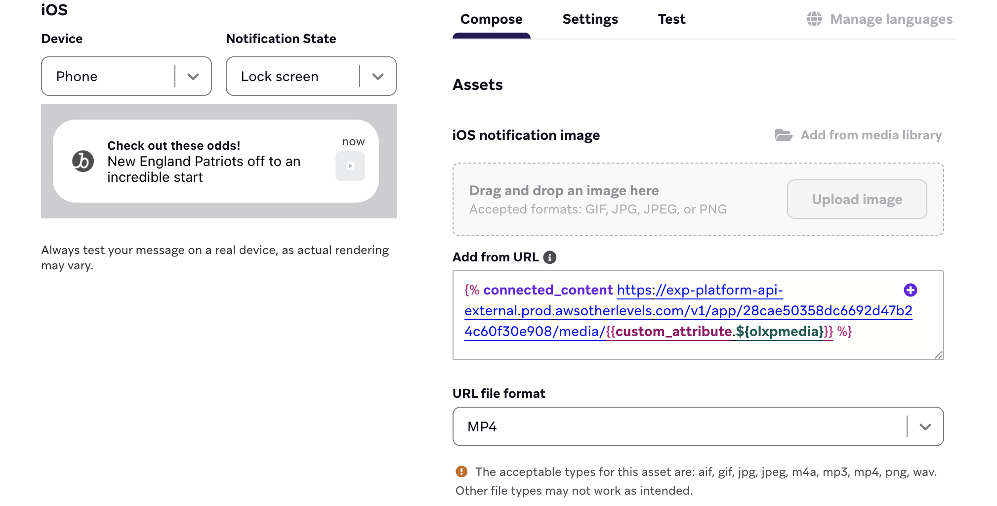 Example Asset fields for Connected Content.