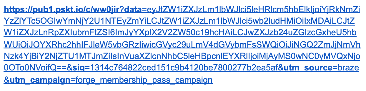 The output URL that includes a long, randomly generated string of letters and numbers.