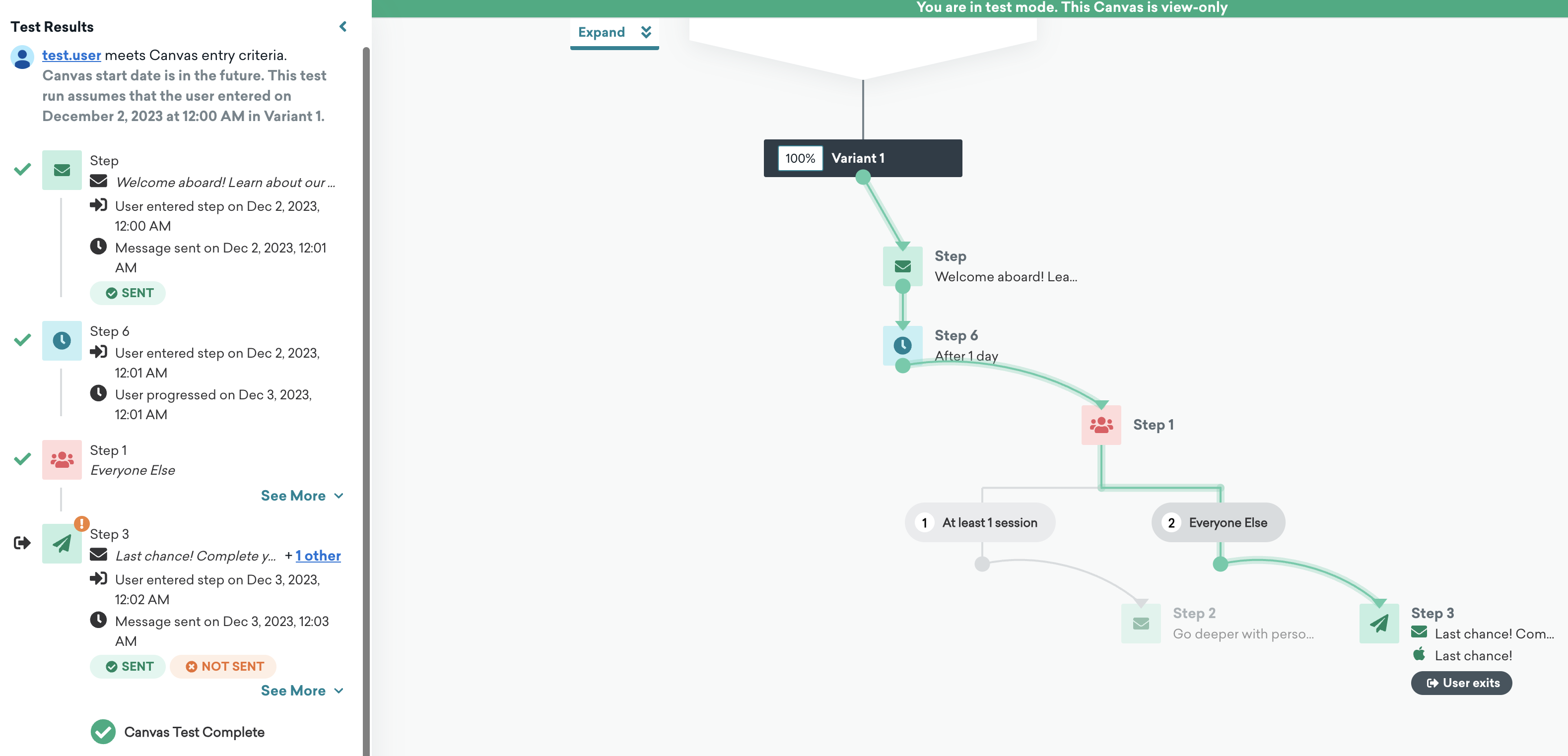 The "Test Results" section that shows the test user has met the entry criteria and provides a summary of their journey, including which steps they were sent.