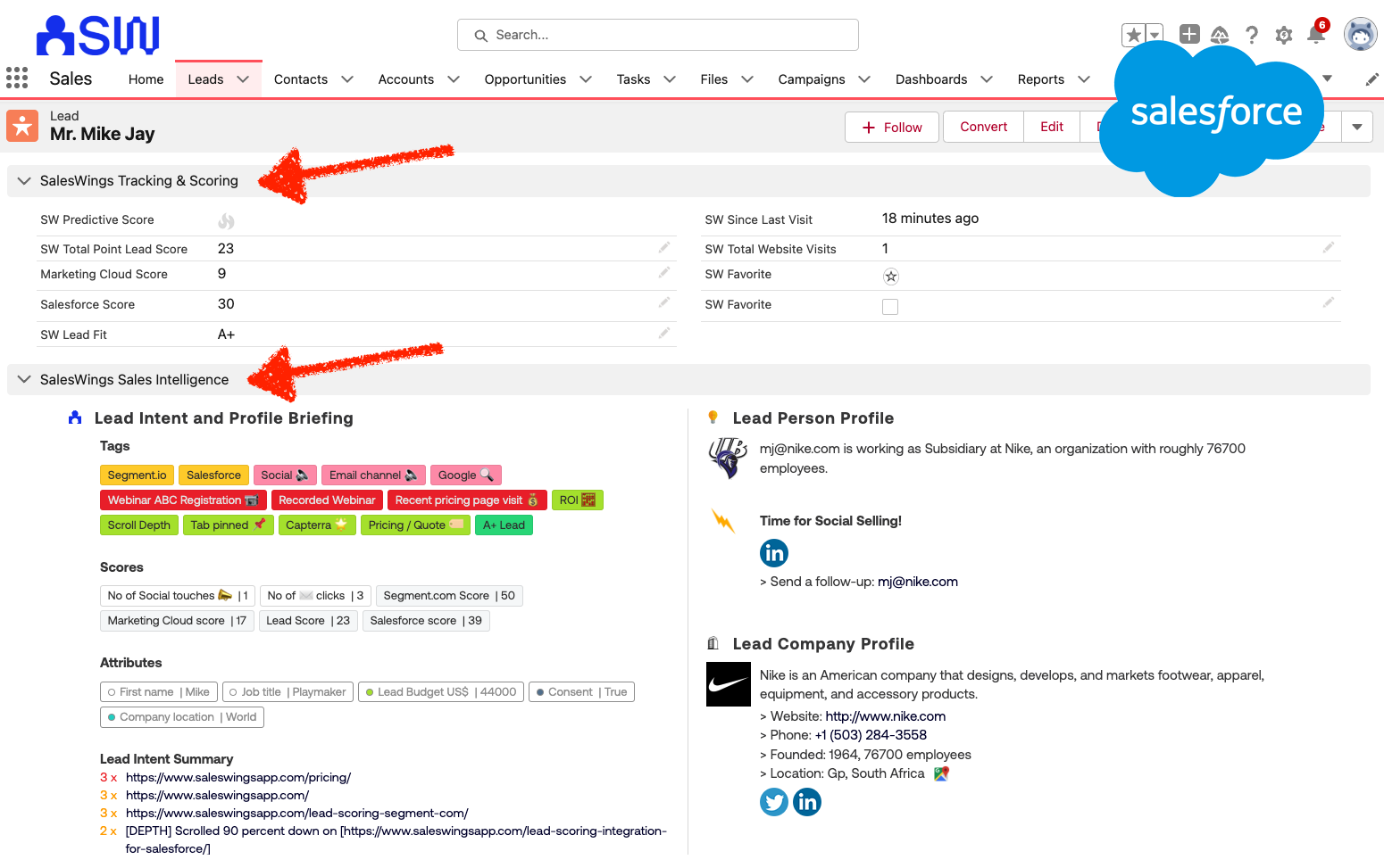Example of sales insights view for sales reps inside Salesforce (also available for other CRM systems)