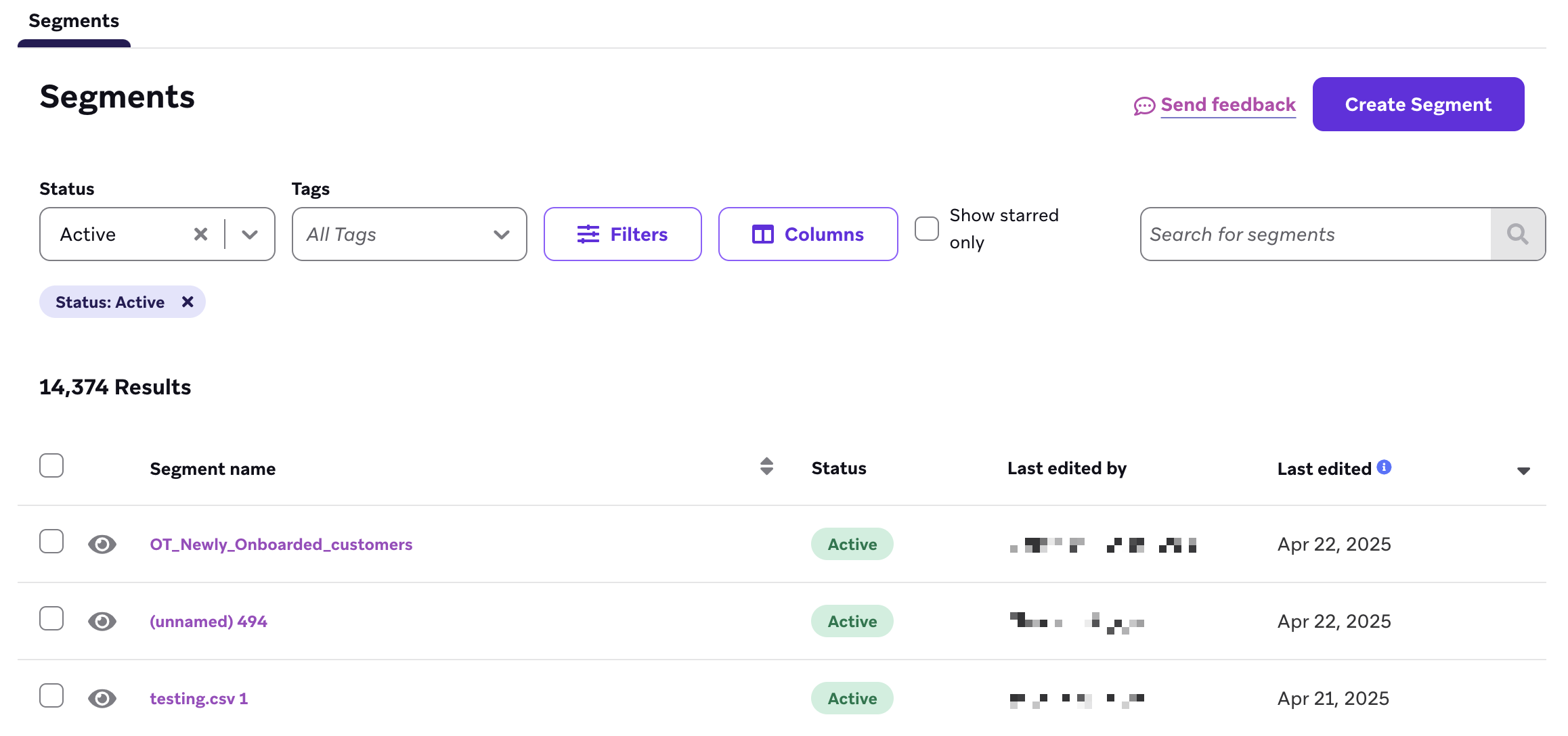 The Segments section displaying a list of Active segments.