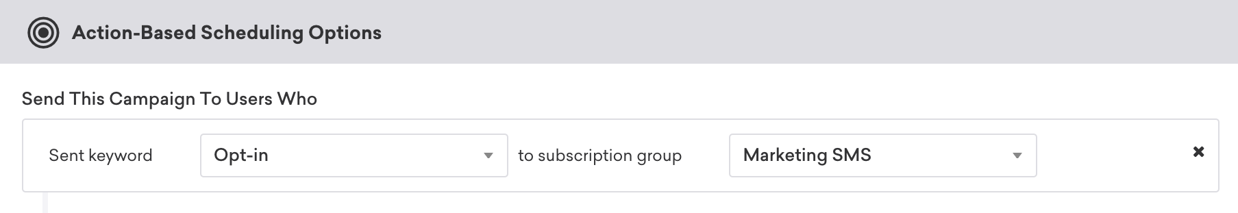Action-based SMS campaign with the segmentation filter Sent keyword "Opt-in" to subscription group "Marketing SMS".