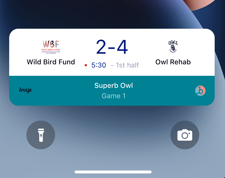 A live activity on an iPhone lock screen with two team's scores. Both the Wild Bird Fund has 2 points and the Owl Rehab has 4 points.