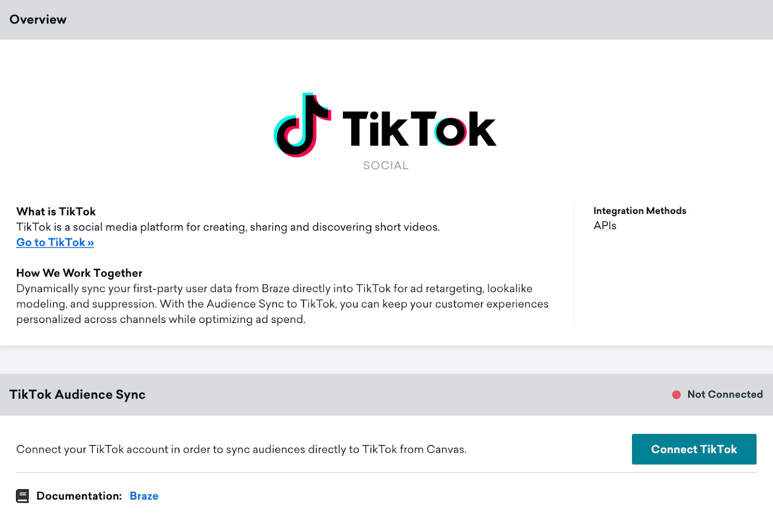 TikTok technology page in Braze includes an Overview section and TikTok Audience Sync section with the Connected TikTok button.
