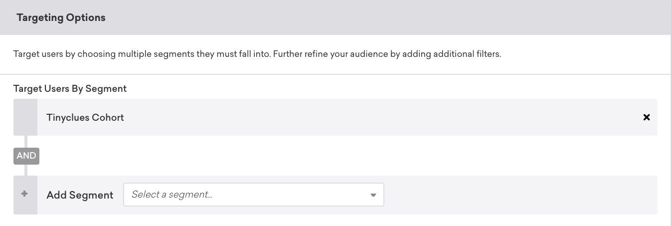 In the Braze campaign builder on the targeting step, the "Target users by segment" filter is set to "Tinyclues cohort".
