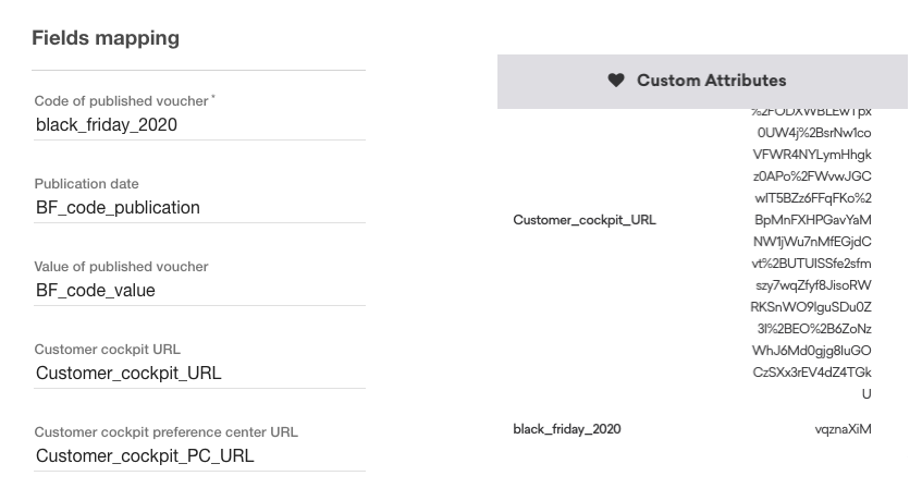 Map fields to custom attributes