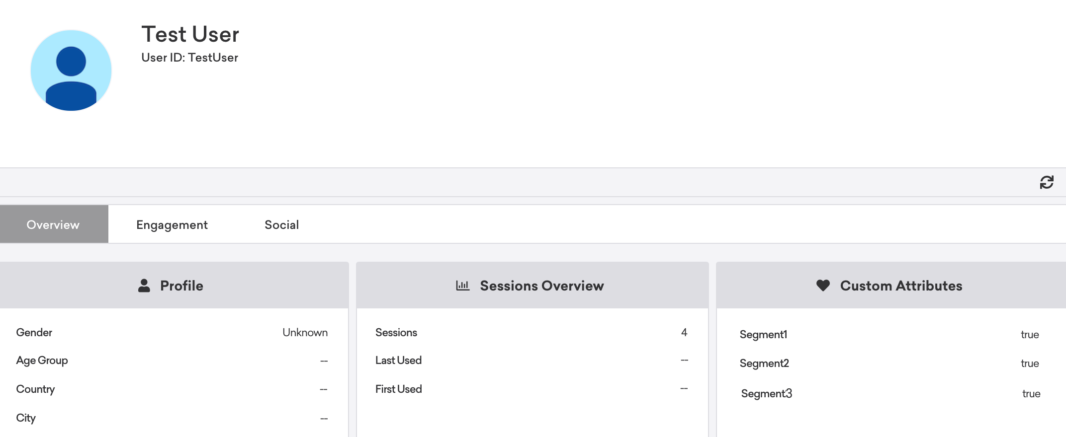 A Braze user profile showing the segment one through four listed as "true" under "Custom attributes".