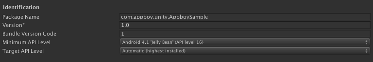 Unity Package Name