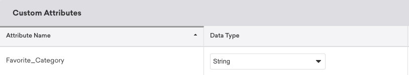 Selecting a data type for a custom attribute. The example provided shows an attribute of Favorite_Category with a data type of string.