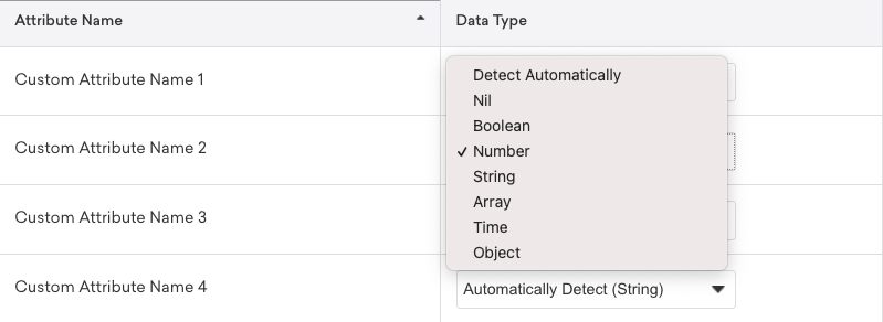 Custom attributes data type drop-down