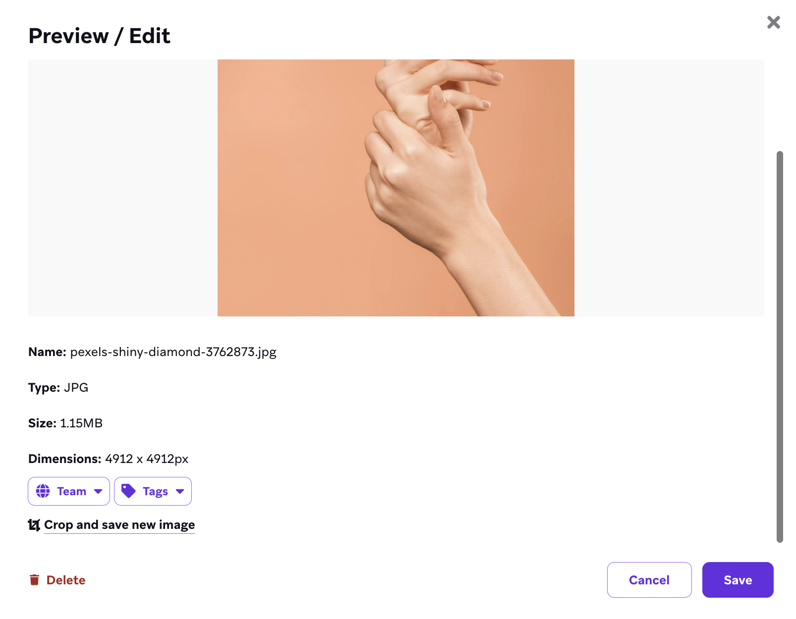 Preview of media library image.