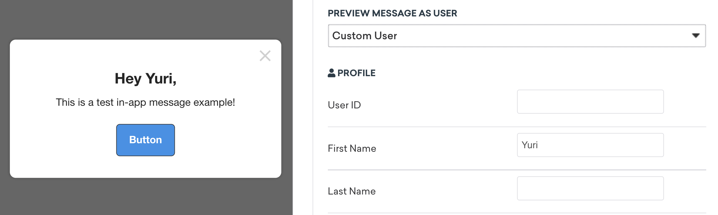 Custom user