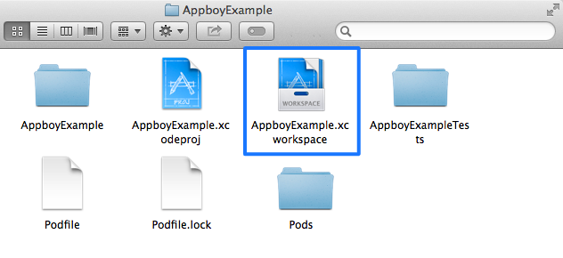 An Appboy Example folder expanded to show the new `AppbpyExample.workspace`.