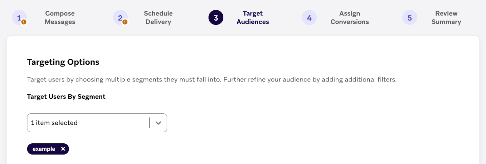 The "Target Audiences" step with an example segment selected.