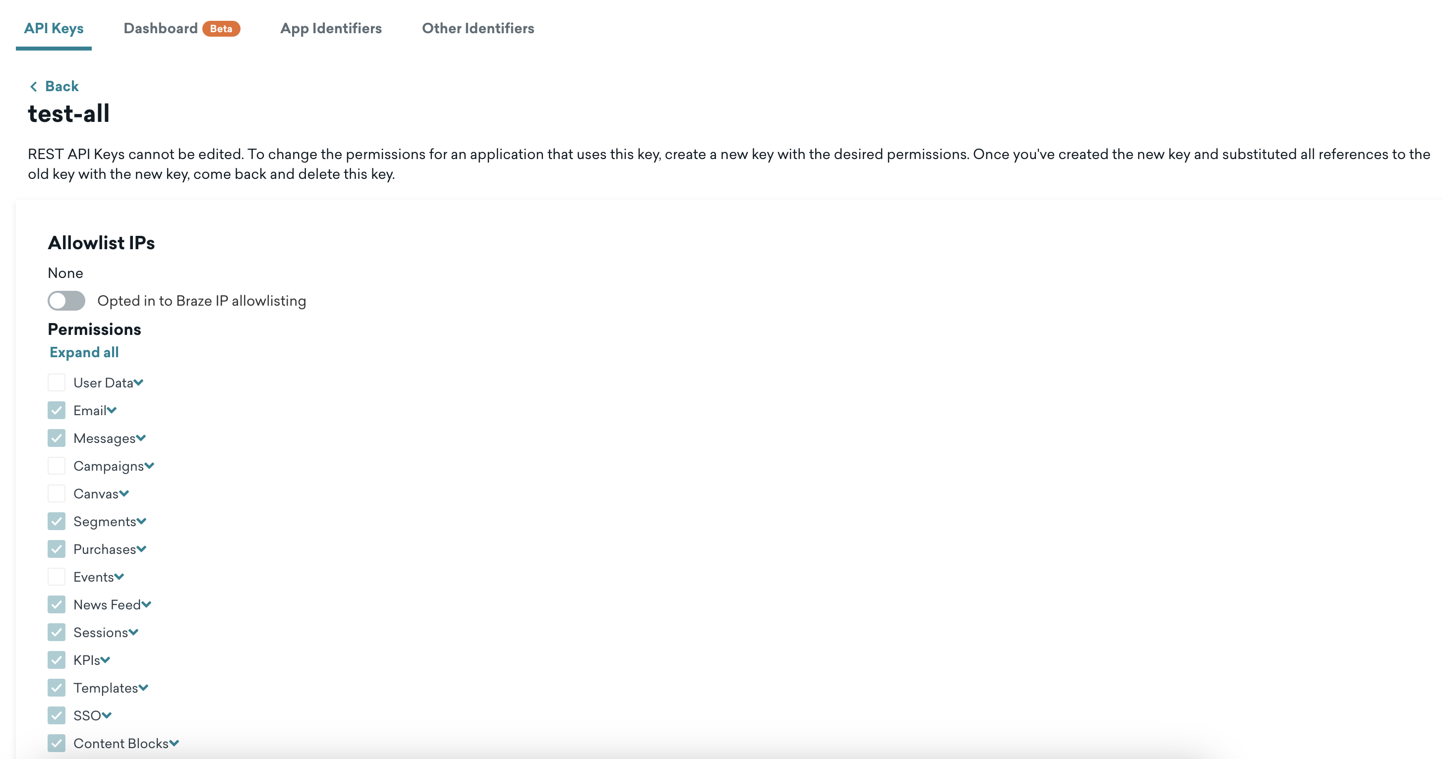 The list of API key permissions in the Braze dashboard.