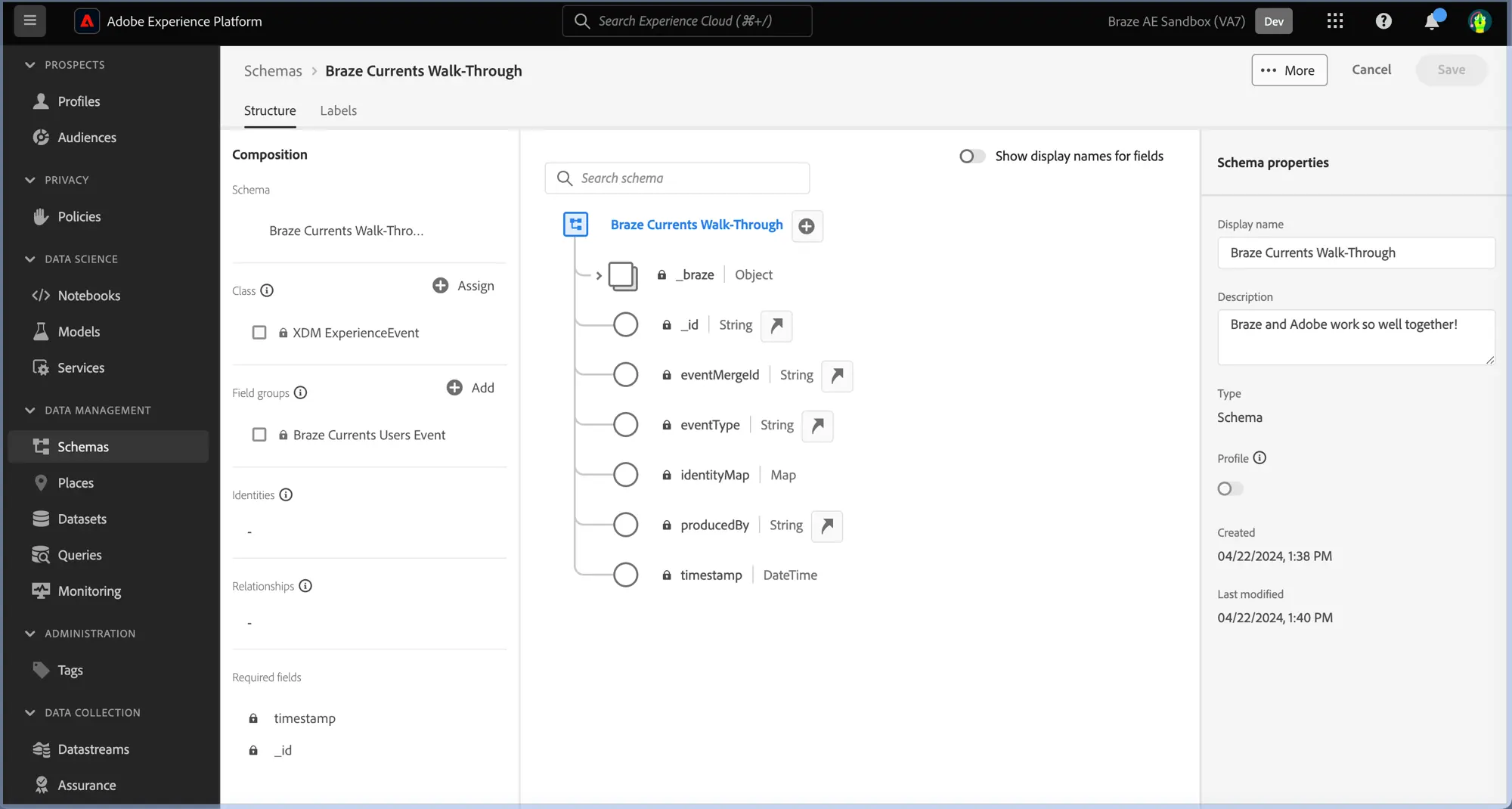 Adobe-Schemas-Seite für das Schema mit dem Namen „Braze Currents Walk-Through“.