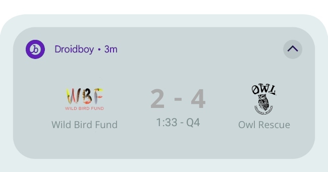 Das Live Update, das Superb Owl zeigen möchte, zeigt ein laufendes Spiel zwischen „Wild Bird Fund“ und „Owl Rescue“. Es ist das vierte Viertel und der Spielstand ist 2:4 mit OWL in Führung.