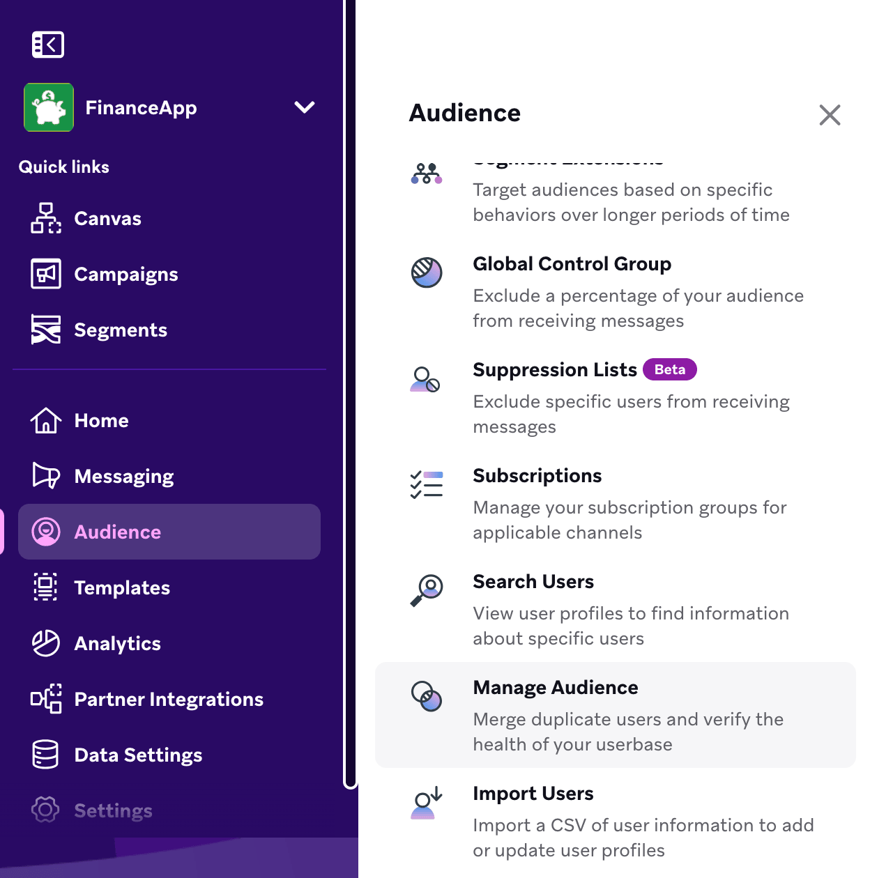 Die Kachel „Manage Audience“ ist im Navigationsmenü hervorgehoben.