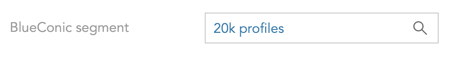 Ein BlueConic-Segment mit 20.000 Profilen.