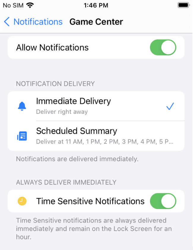 iOS-Benachrichtigungseinstellungen-Seite, die zeigt, dass Benachrichtigungen für sofortige Zustellung aktiviert sind und zeitkritische Benachrichtigungen aktiviert sind.