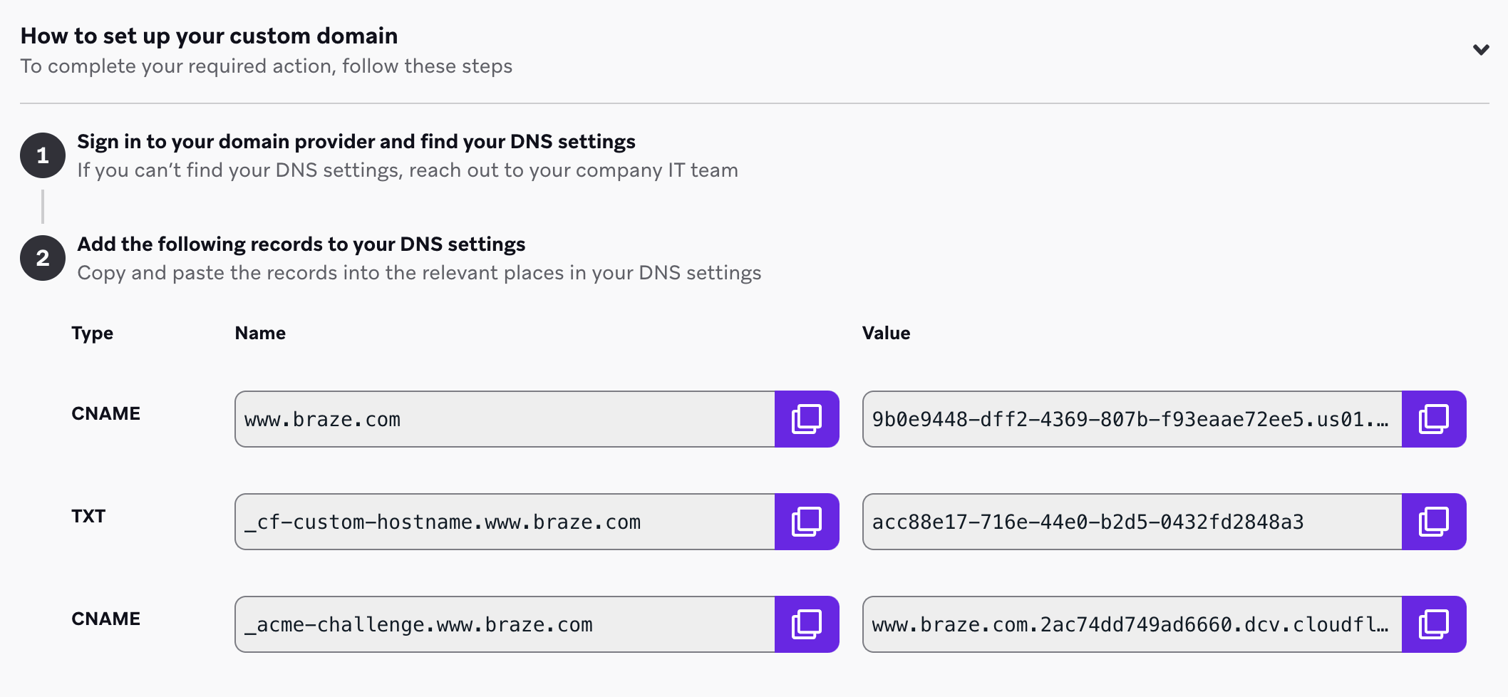 Seite „Landing Page Settings“ mit einem TXT- und zwei CNAME-Einträgen, die mit ihren jeweiligen Namen und Werten aufgelistet sind.
