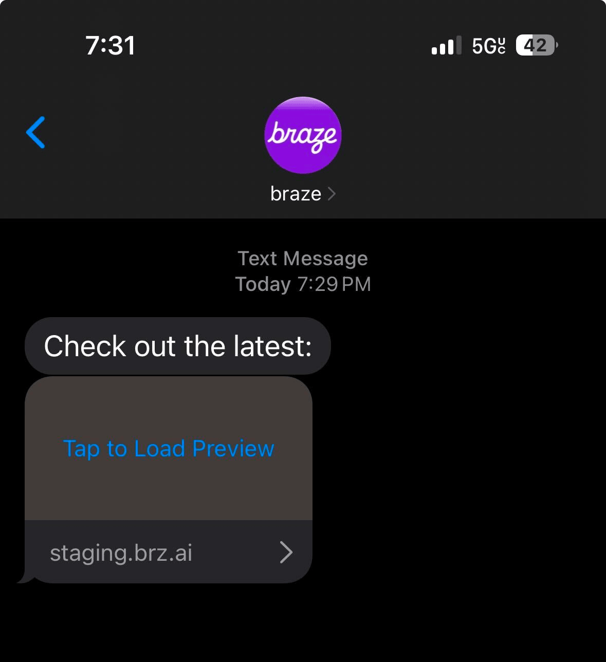 Ein iOS-Gerät zeigt die Aufforderung „Tap to Load Preview“ für eine SMS-Link-Vorschau an