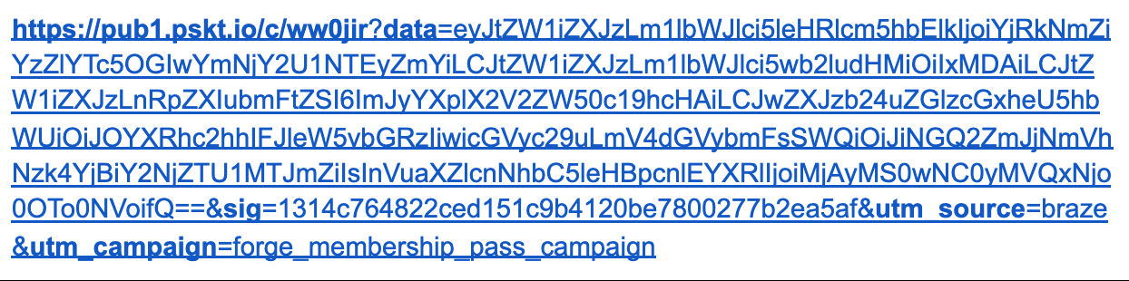 Die Ausgabe-URL, die einen langen, zufällig generierten String aus Buchstaben und Zahlen enthält.