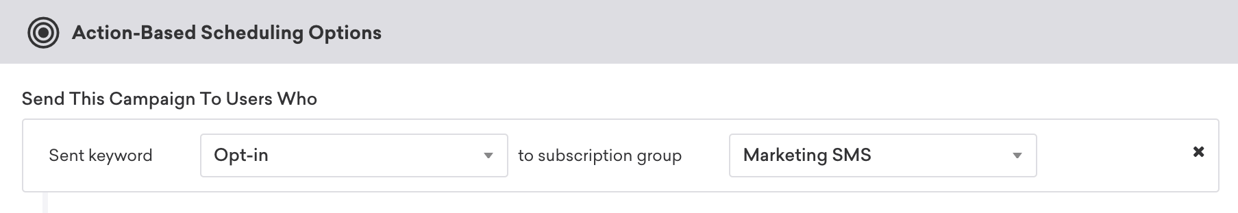 Aktionsbasierte SMS-Campaign mit dem Segmentierungsfilter „Schlüsselwort „Opt-in“ an Abo-Gruppe „Marketing SMS“ gesendet".