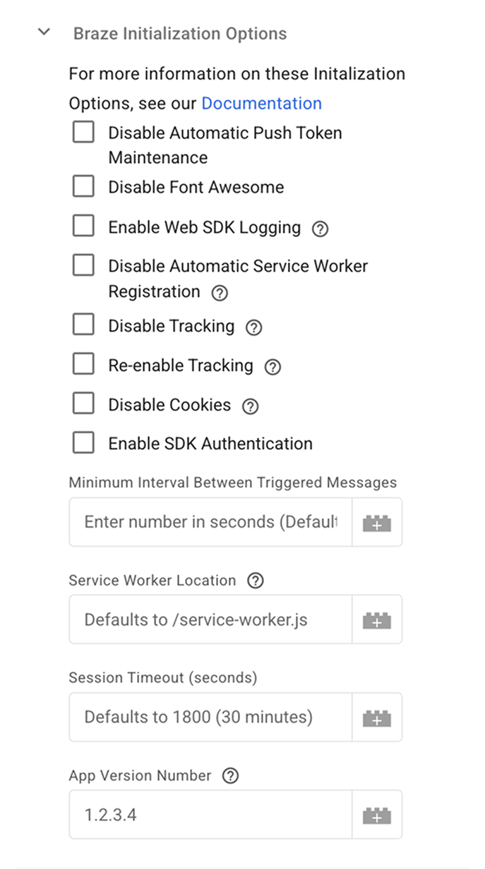 Die Liste der Braze Initialization Options unter „Tag Configuration“.
