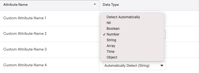 Dropdown für den Datentyp angepasster Attribute
