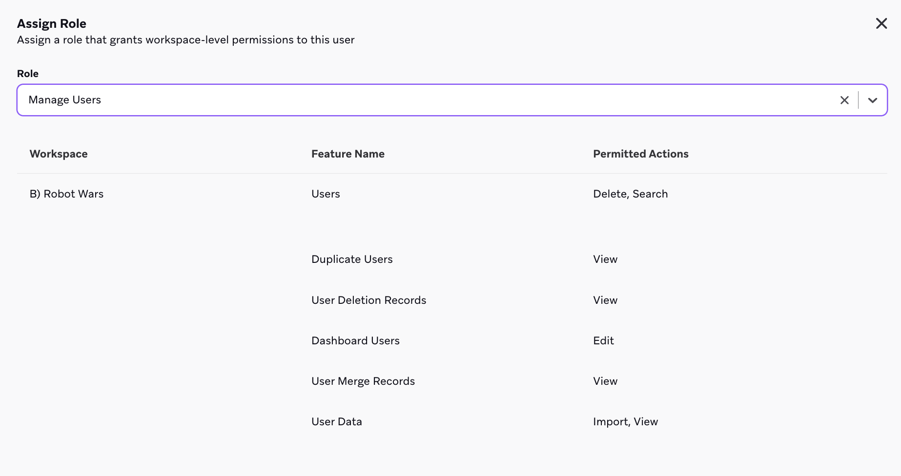 Permisos a nivel del espacio de trabajo asignados a través de un rol en Braze.
