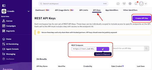 Página de claves de API REST de Braze con Crear clave de API y el control de copia del punto de conexión REST.