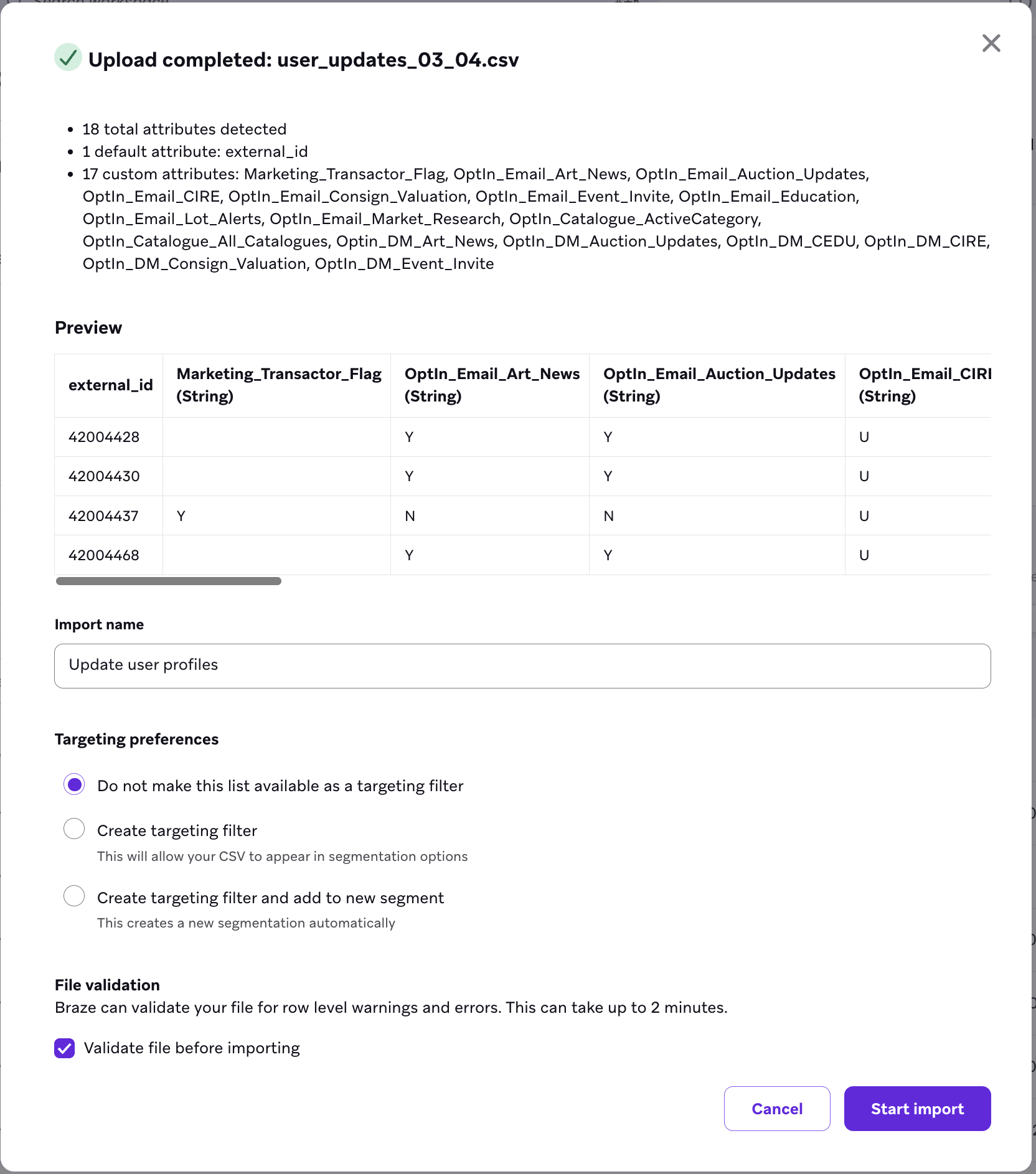 El modal de carga completada muestra una vista previa del archivo, el campo de nombre de importación, las preferencias de segmentación y la casilla de verificación de validación del archivo.